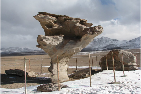 m__Arbol de Piedra Altiplano